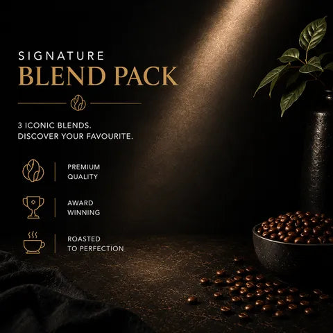 Mifeia Signature Blend Pack — 3 iconic blends